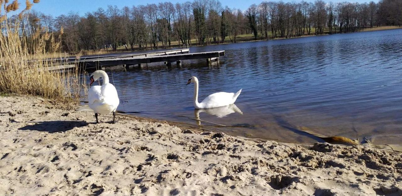 Dom Nad Jeziorem - Natalia Kołczewo Exteriör bild